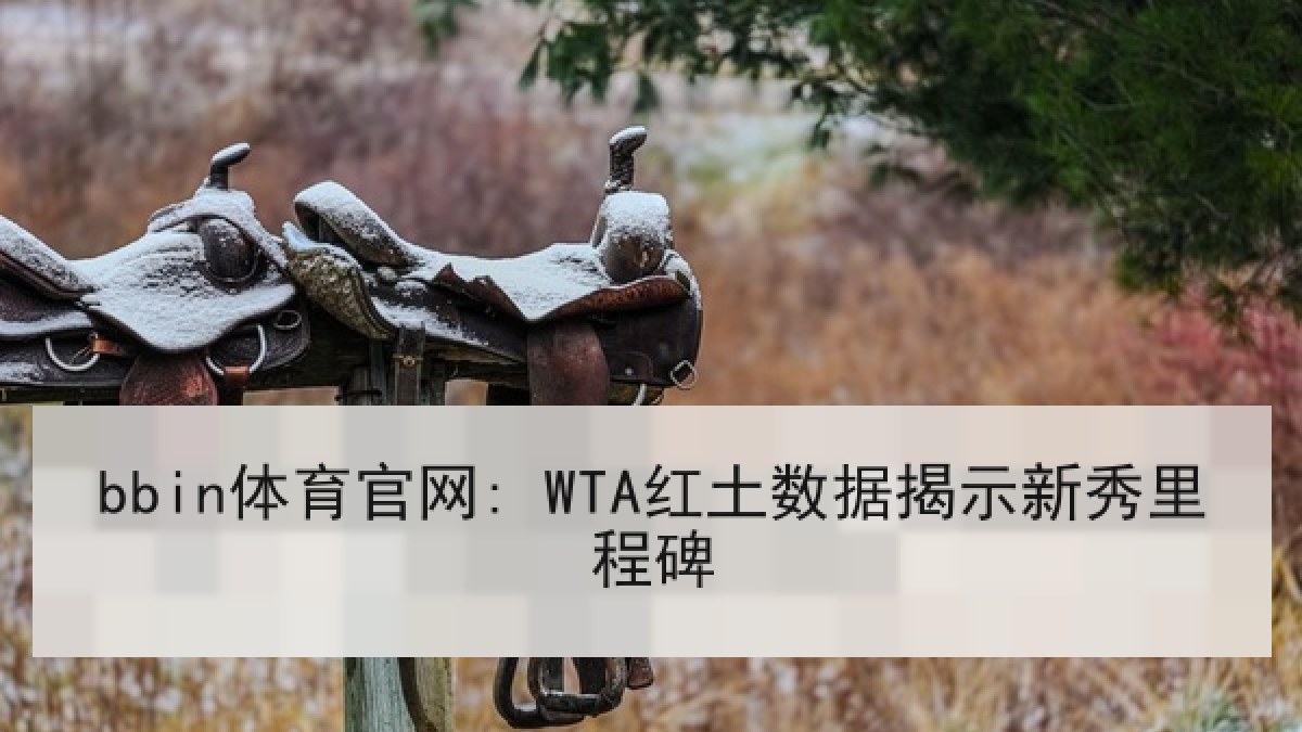 bbin体育官网: WTA红土数据揭示新秀里程碑